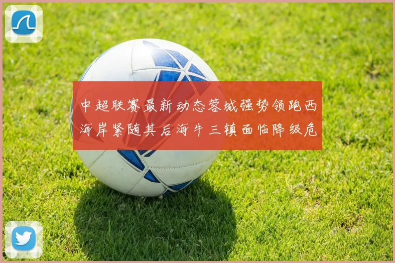 中超联赛最新动态蓉城强势领跑西海岸紧随其后海牛三镇面临降级危机